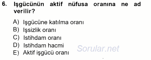 İstihdam ve İşsizlik 2012 - 2013 Ara Sınavı 6.Soru