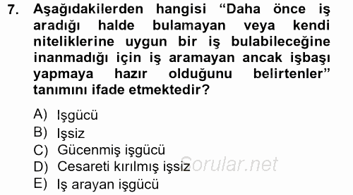 İstihdam ve İşsizlik 2012 - 2013 Ara Sınavı 7.Soru
