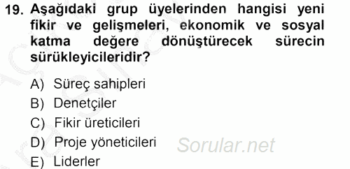 Yenilik Yönetimi 2012 - 2013 Ara Sınavı 19.Soru