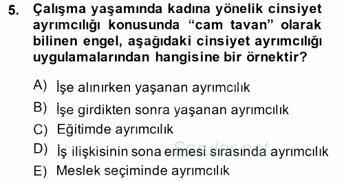 Sosyal Politika 2 2013 - 2014 Dönem Sonu Sınavı 5.Soru