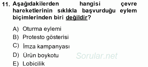 Yeni Toplumsal Hareketler 2014 - 2015 Tek Ders Sınavı 11.Soru