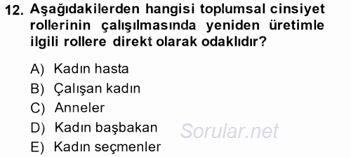 Yeni Toplumsal Hareketler 2014 - 2015 Tek Ders Sınavı 12.Soru