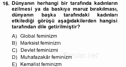 Yeni Toplumsal Hareketler 2014 - 2015 Tek Ders Sınavı 16.Soru