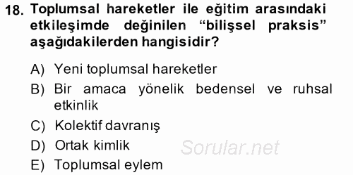 Yeni Toplumsal Hareketler 2014 - 2015 Tek Ders Sınavı 18.Soru