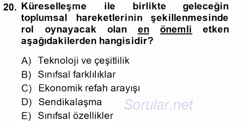 Yeni Toplumsal Hareketler 2014 - 2015 Tek Ders Sınavı 20.Soru