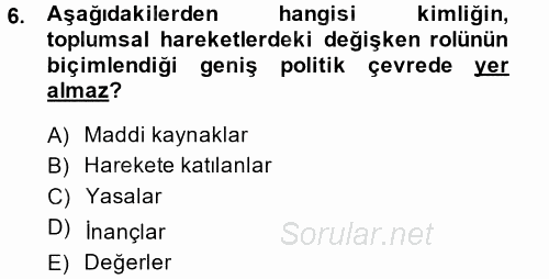 Yeni Toplumsal Hareketler 2014 - 2015 Tek Ders Sınavı 6.Soru