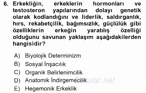 Toplumsal Cinsiyet Çalışmaları 2017 - 2018 Ara Sınavı 6.Soru