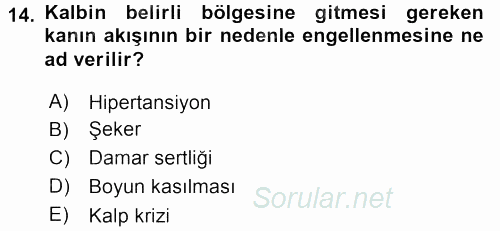 Çatışma ve Stres Yönetimi 2 2015 - 2016 Ara Sınavı 14.Soru