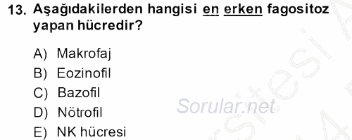 Temel Veteriner Mikrobiyoloji ve İmmünoloji 2013 - 2014 Dönem Sonu Sınavı 13.Soru