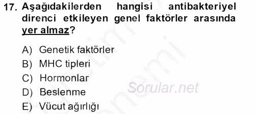 Temel Veteriner Mikrobiyoloji ve İmmünoloji 2013 - 2014 Dönem Sonu Sınavı 17.Soru