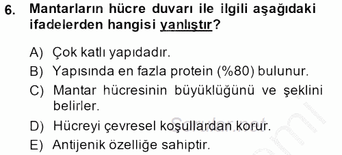 Temel Veteriner Mikrobiyoloji ve İmmünoloji 2013 - 2014 Dönem Sonu Sınavı 6.Soru