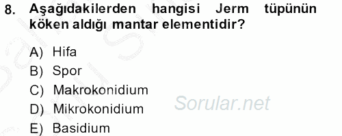 Temel Veteriner Mikrobiyoloji ve İmmünoloji 2013 - 2014 Dönem Sonu Sınavı 8.Soru