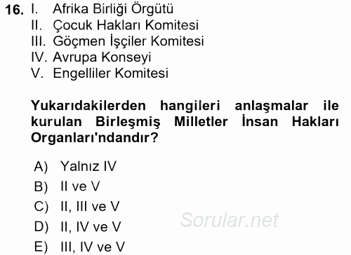 İnsan Hakları ve Demokratikleşme Süreci 2017 - 2018 Ara Sınavı 16.Soru