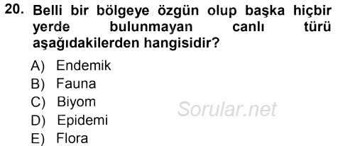 Ekoloji ve Turizm 2014 - 2015 Ara Sınavı 20.Soru