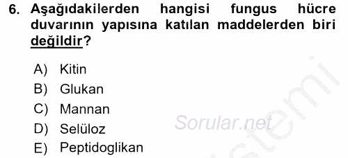 Besin Güvenliği ve Hijyen 2016 - 2017 Ara Sınavı 6.Soru