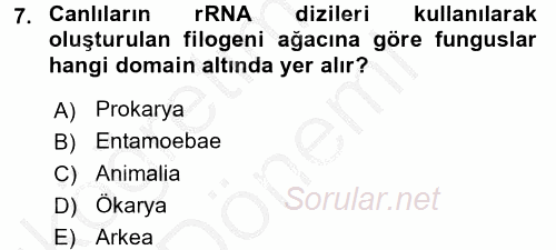 Besin Güvenliği ve Hijyen 2016 - 2017 Ara Sınavı 7.Soru