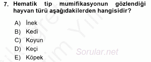 Doğum Bilgisi ve Suni Tohumlama 2016 - 2017 3 Ders Sınavı 7.Soru