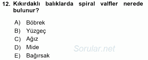 Balık Yetiştiriciliği 2016 - 2017 Ara Sınavı 12.Soru