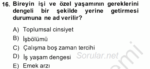 Yeni Teknolojiler ve Çalışma Hayatı 2013 - 2014 Ara Sınavı 16.Soru