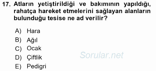 Veteriner Hizmetleri Mevzuatı ve Etik 2017 - 2018 3 Ders Sınavı 17.Soru