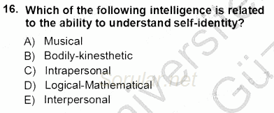 Yabancı Dil Öğretiminde Ölçme Ve Değerlendirme 1 2012 - 2013 Ara Sınavı 16.Soru