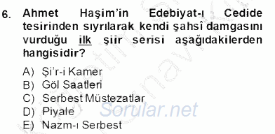 II. Meşrutiyet Dönemi Türk Edebiyatı 2013 - 2014 Dönem Sonu Sınavı 6.Soru