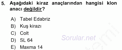 Bahçe Tarımı 2 2015 - 2016 Ara Sınavı 5.Soru