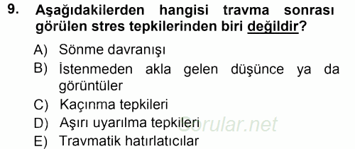 Anne Baba Eğitimi 2012 - 2013 Dönem Sonu Sınavı 9.Soru