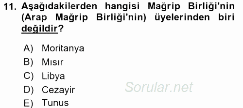 Modern Ortadoğu Tarihi 2017 - 2018 Dönem Sonu Sınavı 11.Soru