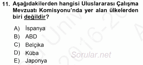 Uluslararası Sosyal Politika 2016 - 2017 Ara Sınavı 11.Soru