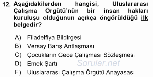 Uluslararası Sosyal Politika 2016 - 2017 Ara Sınavı 12.Soru