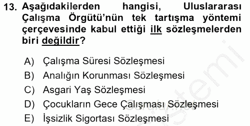 Uluslararası Sosyal Politika 2016 - 2017 Ara Sınavı 13.Soru