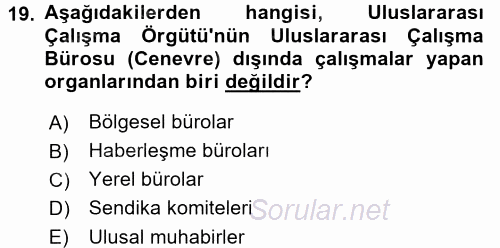 Uluslararası Sosyal Politika 2016 - 2017 Ara Sınavı 19.Soru