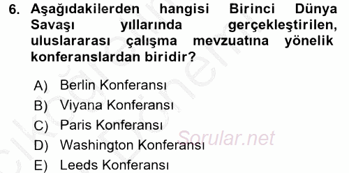 Uluslararası Sosyal Politika 2016 - 2017 Ara Sınavı 6.Soru