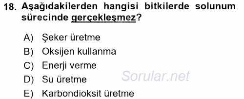 Örtü Altı Üretim Sistemleri 2015 - 2016 Ara Sınavı 18.Soru