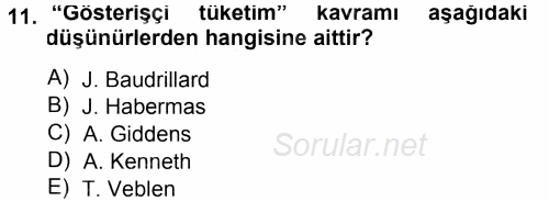 Çağdaş Sosyoloji Kuramları 2014 - 2015 Tek Ders Sınavı 11.Soru