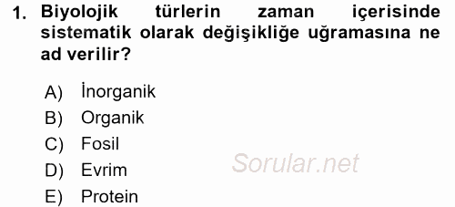 Uygarlık Tarihi 1 2015 - 2016 Dönem Sonu Sınavı 1.Soru