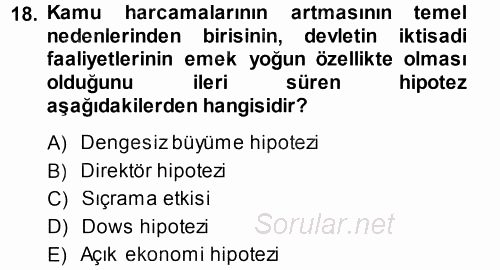 Kamu Ekonomisi 1 2014 - 2015 Ara Sınavı 18.Soru