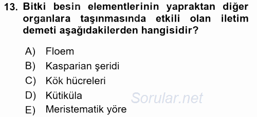 Toprak Bilgisi ve Bitki Besleme 2017 - 2018 Dönem Sonu Sınavı 13.Soru