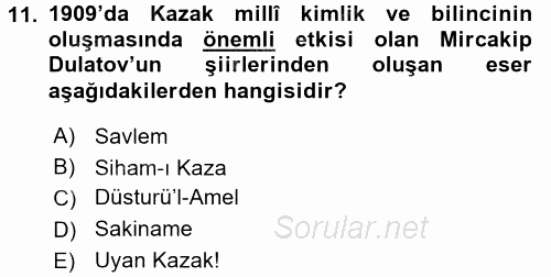 XIX. Yüzyıl Türk Dünyası 2015 - 2016 Dönem Sonu Sınavı 11.Soru