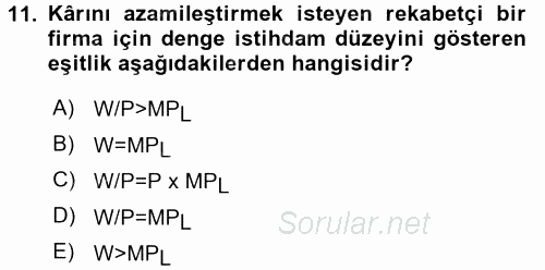 Çalışma Ekonomisi 2015 - 2016 Ara Sınavı 11.Soru