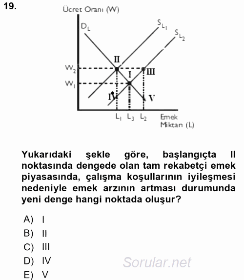Çalışma Ekonomisi 2015 - 2016 Ara Sınavı 19.Soru