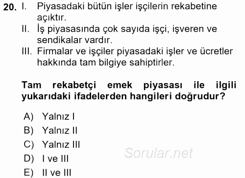 Çalışma Ekonomisi 2015 - 2016 Ara Sınavı 20.Soru