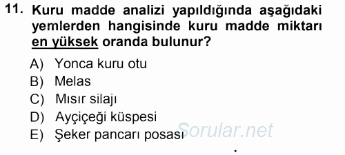 Temel Yem Bilgisi ve Hayvan Besleme 2014 - 2015 Tek Ders Sınavı 11.Soru