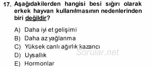 Temel Yem Bilgisi ve Hayvan Besleme 2014 - 2015 Tek Ders Sınavı 17.Soru