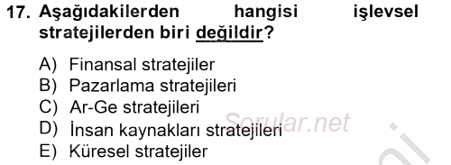 Stratejik Yönetim 2 2012 - 2013 Ara Sınavı 17.Soru