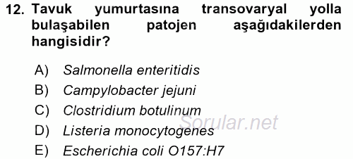 Gıda Güvenliğinin Temel Prensipleri 2015 - 2016 Ara Sınavı 12.Soru