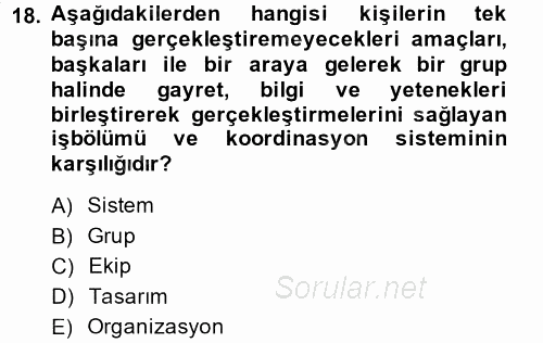 Sağlık Kurumları Yönetimi 1 2014 - 2015 Ara Sınavı 18.Soru