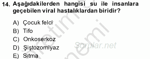 Hijyen ve Sanitasyon 2014 - 2015 Ara Sınavı 14.Soru