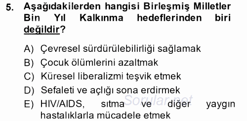 Gelişmekte Olan Ülkelerde Siyaset 2014 - 2015 Ara Sınavı 5.Soru